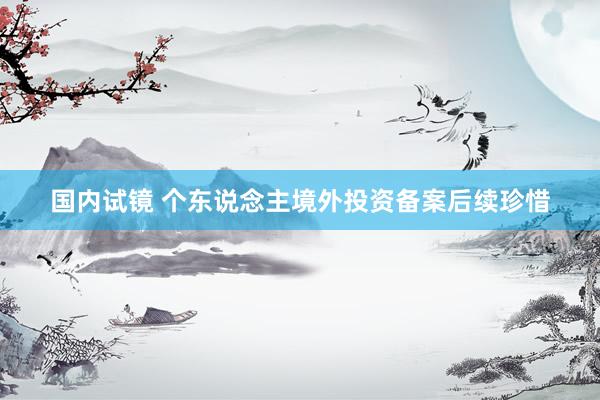 国内试镜 个东说念主境外投资备案后续珍惜