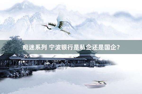 痴迷系列 宁波银行是私企还是国企？