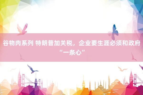 谷物肉系列 特朗普加关税，企业要生涯必须和政府“一条心”