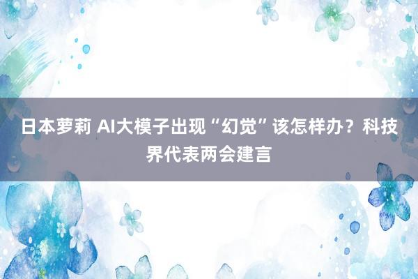 日本萝莉 AI大模子出现“幻觉”该怎样办？科技界代表两会建言