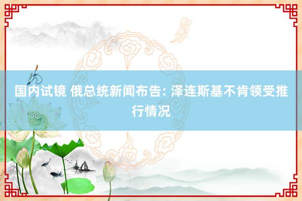 国内试镜 俄总统新闻布告: 泽连斯基不肯领受推行情况