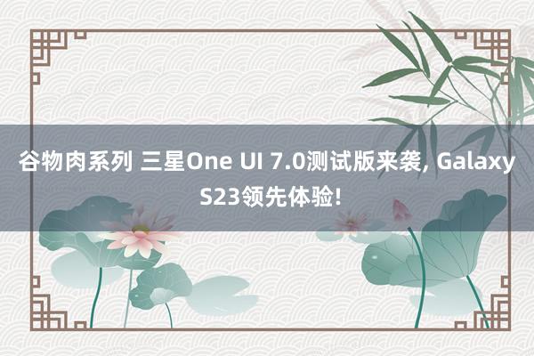 谷物肉系列 三星One UI 7.0测试版来袭， Galaxy S23领先体验!