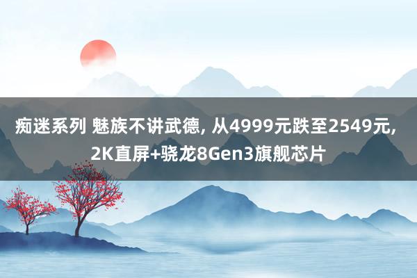 痴迷系列 魅族不讲武德， 从4999元跌至2549元， 2K直屏+骁龙8Gen3旗舰芯片
