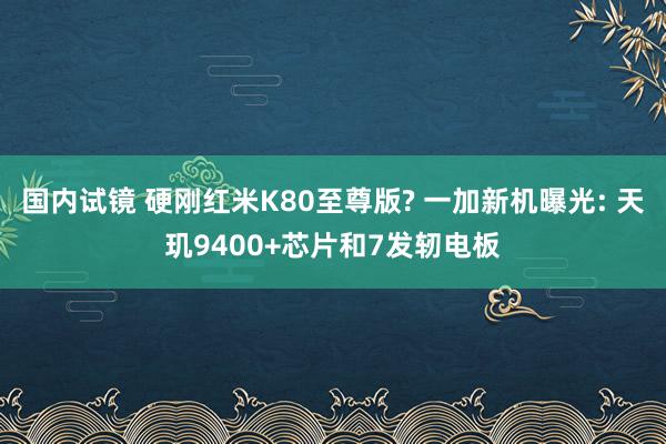 国内试镜 硬刚红米K80至尊版? 一加新机曝光: 天玑9400+芯片和7发轫电板