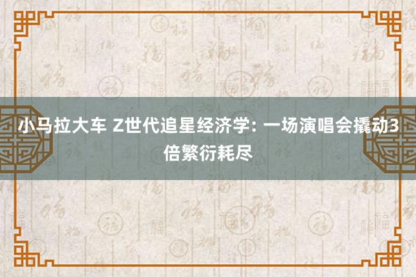 小马拉大车 Z世代追星经济学: 一场演唱会撬动3倍繁衍耗尽