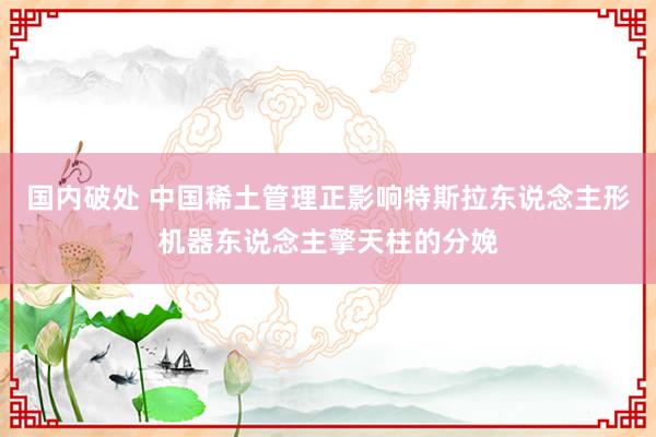 国内破处 中国稀土管理正影响特斯拉东说念主形机器东说念主擎天柱的分娩