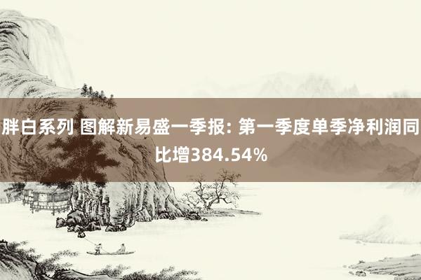 胖白系列 图解新易盛一季报: 第一季度单季净利润同比增384.54%