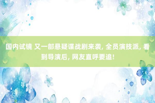 国内试镜 又一部悬疑谍战剧来袭， 全员演技派， 看到导演后， 网友直呼要追!