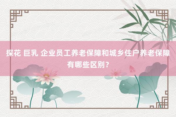 探花 巨乳 企业员工养老保障和城乡住户养老保障有哪些区别？