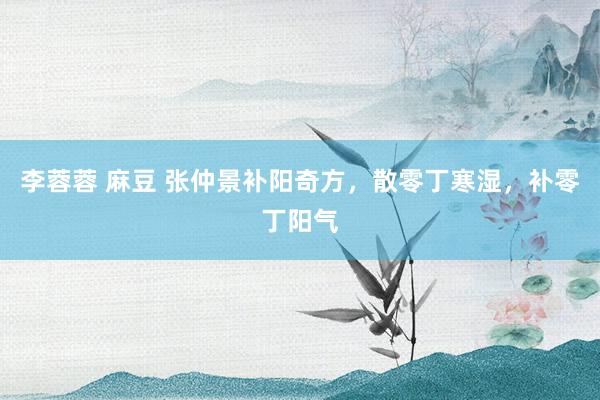 李蓉蓉 麻豆 张仲景补阳奇方,散零丁寒湿,补零丁阳气