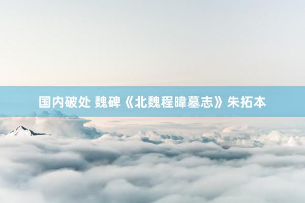 国内破处 魏碑《北魏程暐墓志》朱拓本