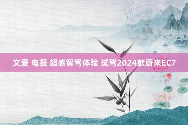 文爱 电报 超感智驾体验 试驾2024款蔚来EC7
