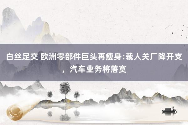 白丝足交 欧洲零部件巨头再瘦身:裁人关厂降开支，汽车业务将落寞
