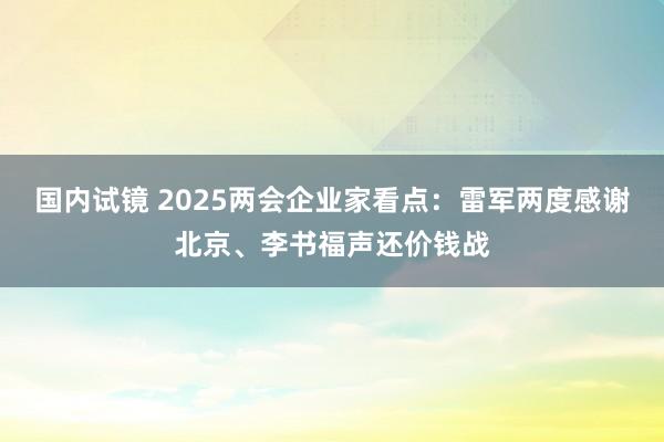 国内试镜 2025两会企业家看点：雷军两度感谢北京、李书福声还价钱战