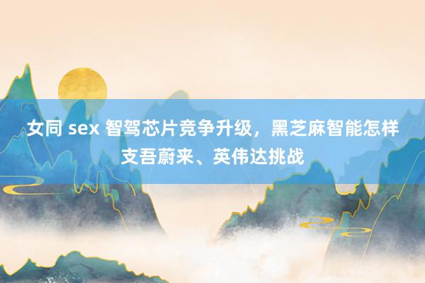 女同 sex 智驾芯片竞争升级，黑芝麻智能怎样支吾蔚来、英伟达挑战