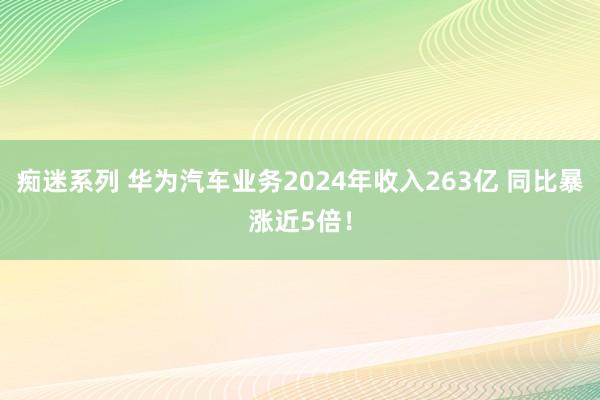 痴迷系列 华为汽车业务2024年收入263亿 同比暴涨近5倍！