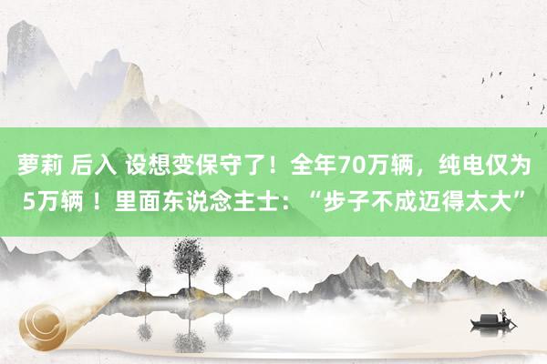 萝莉 后入 设想变保守了！全年70万辆，纯电仅为5万辆 ！里面东说念主士：“步子不成迈得太大”