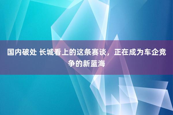 国内破处 长城看上的这条赛谈，正在成为车企竞争的新蓝海