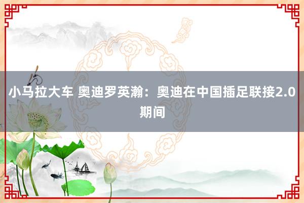 小马拉大车 奥迪罗英瀚：奥迪在中国插足联接2.0期间