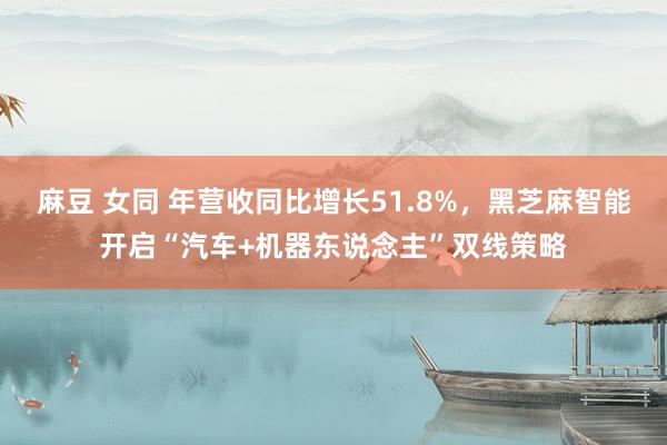 麻豆 女同 年营收同比增长51.8%，黑芝麻智能开启“汽车+机器东说念主”双线策略